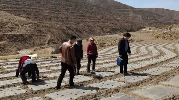 ������� ��������������ץ ������