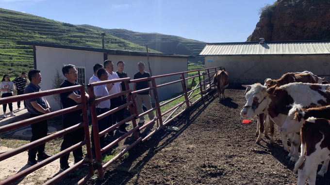 ����OG���˹ٷ����ŵ�ί��ǡ����³�������һ�и�׿�����������������ο��