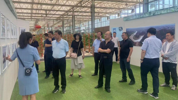 ����OG���˹ٷ����Ÿ���Զ�ؿ���Ǣ̸