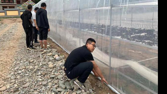 ��פ�������� ���ʵЧ����OG���˹ٷ�������ʵ�ƶ��������������ʵ