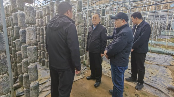 ����OG���˹ٷ����Ÿ�׿���ؿ�չ�������˰�������߽�Թذ�����