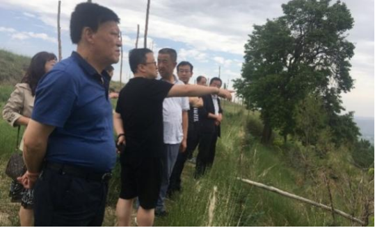 �ӵ��� Ӫ���� �����ˣ����������ο���ƶ����Ч�� ������������